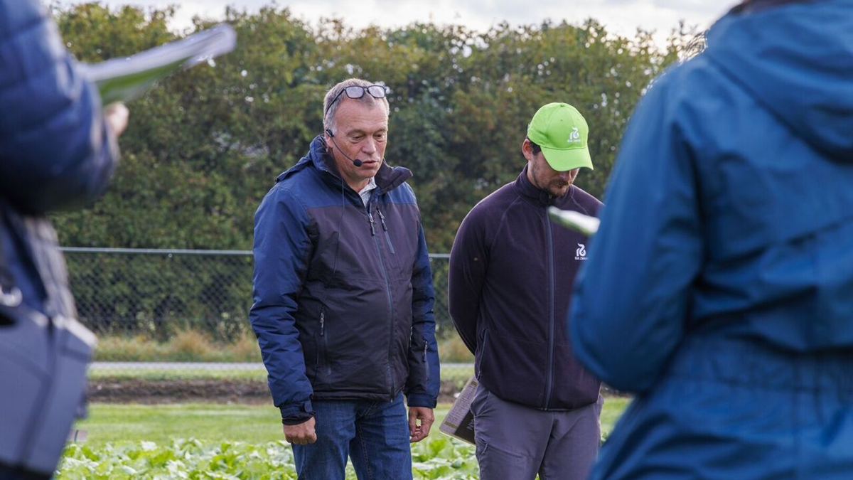 La compañía impulsa programas de mejora genética orientados a reducir el uso de fertilizantes, garantizando rendimientos estables y una producción más sostenible Rijk Zwaan desarrolla variedades de lechuga iceberg mas eficientes en el uso de nitrogeno.png